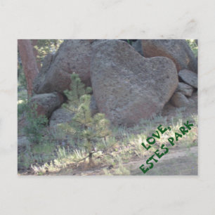 POSTAL ESTES PARK LOVE.