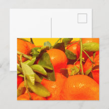 Estética de fruta Naranja suave