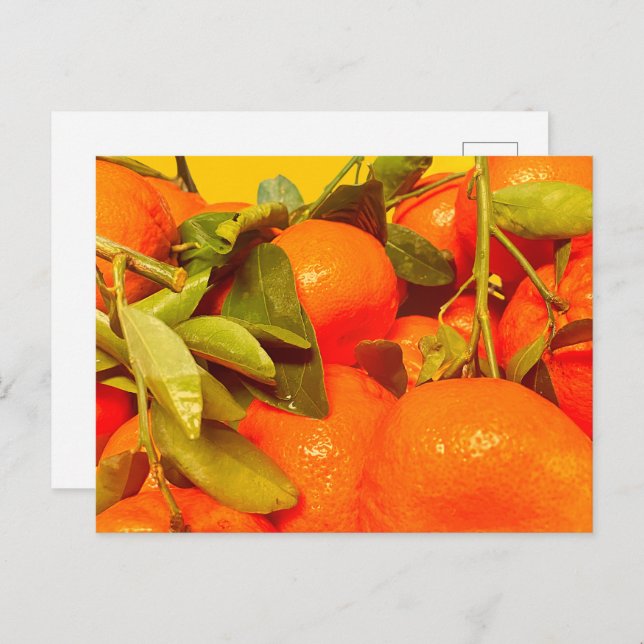 Postal Estética de fruta Naranja suave (Anverso / Reverso)