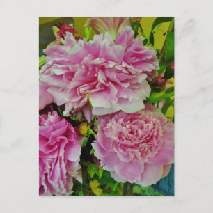 Postal Estilo de campo francés Peonies