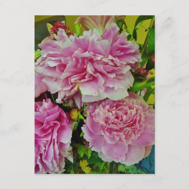 Postal Estilo de campo francés Peonies (Anverso)