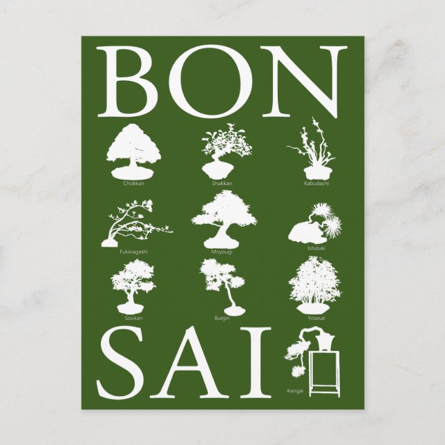 Postal Estilos básicos del árbol Bonsai (Anverso)