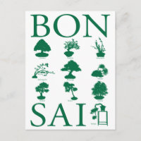 Estilos básicos del árbol Bonsai
