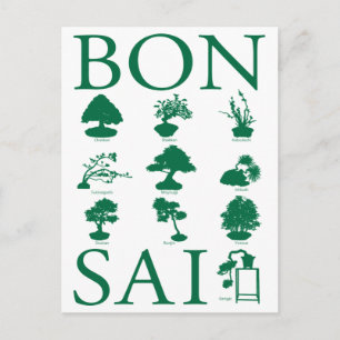 Postal Estilos básicos del árbol Bonsai