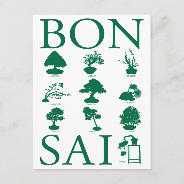 Postal Estilos básicos del árbol Bonsai (Anverso)