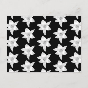 Postal Estiloso patrón Lily en blanco y negro.