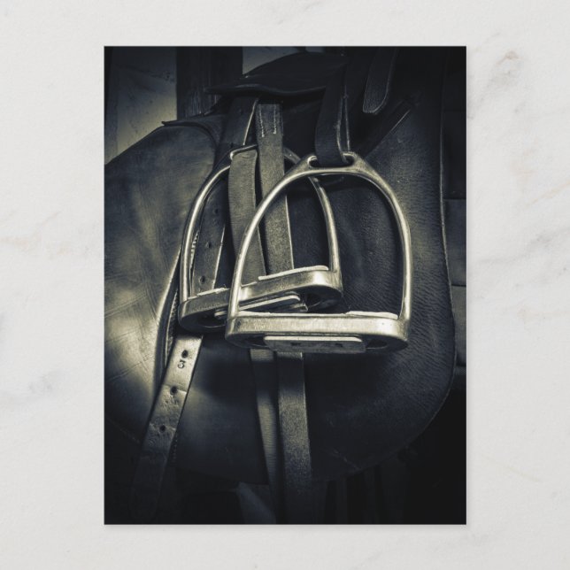 Postal Estiloso truco plateado sobre la silla de ruedas e (Anverso)