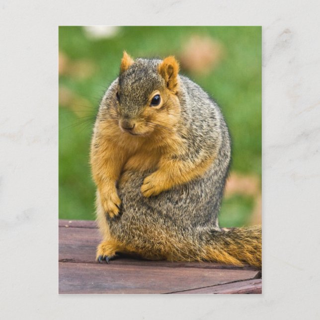 Postal Estirando hacia fuera (Anverso)