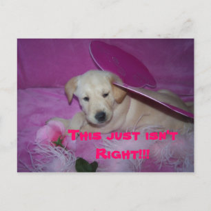 Postal esto es tan humillante, ¡¡¡Esto simplemente no est