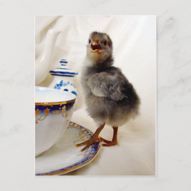 Postal "Esto no es parte de mi contrato" dice la chica (Anverso)