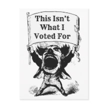 Esto no es por lo que voté