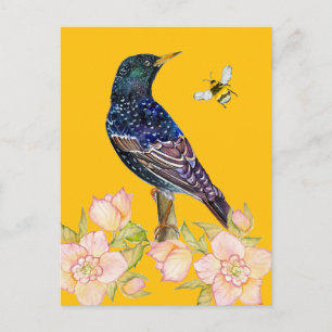 Postal Estornino Europeo Acuarela de Pájaro