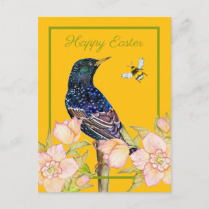 Postal Estornino Europeo Acuarela de Pájaro