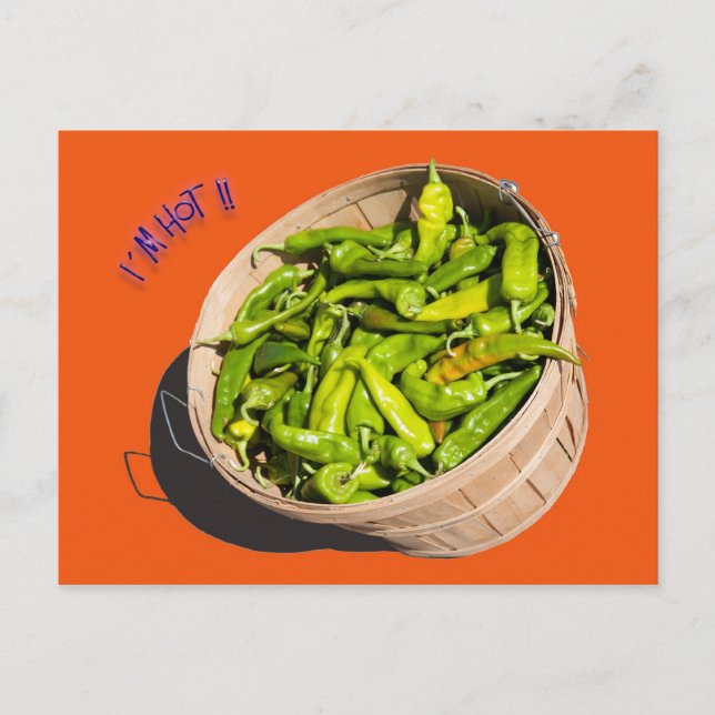 Postal ¡¡Estoy caliente!! (Anverso)