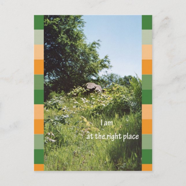 Postal Estoy en el lugar correcto (Anverso)