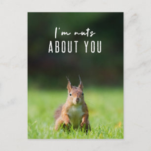 Postal Estoy loco por ti   Squirrel Modern Funny Fluffy