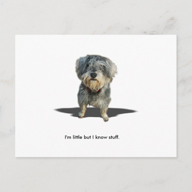 Postal Estoy poco pero sé la materia (Anverso)