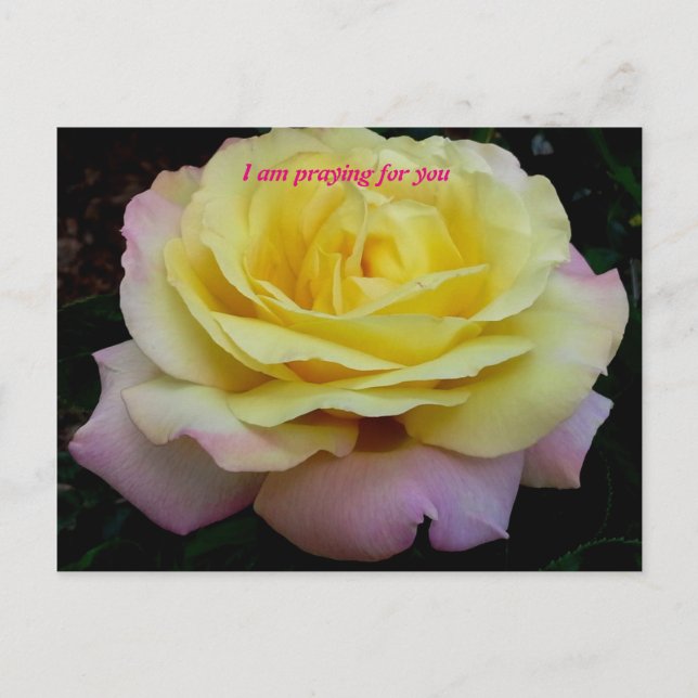 Postal Estoy rezando por ti (Anverso)