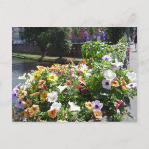 Postal Estrasburgo por día, flores