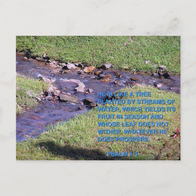 POSTAL ESTREAMOS (Anverso)