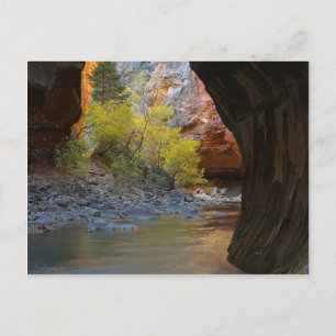 Postal Estrechos En El Parque Nacional De Zion