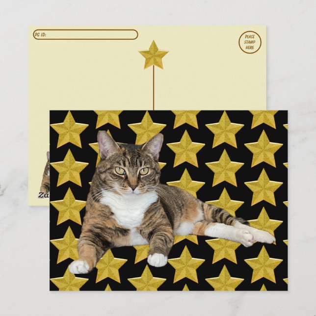 Postal - Estrella de Annie : postal para gato (Anverso / Reverso)