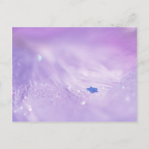 Postal Estrella de caída