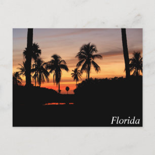 Postal Estrella de Florida