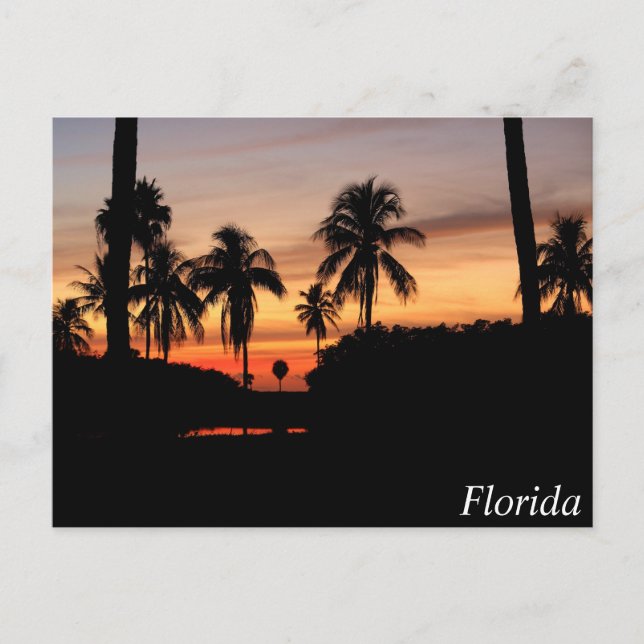 Postal Estrella de Florida (Anverso)
