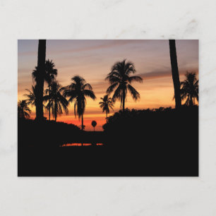 Postal Estrella de Florida