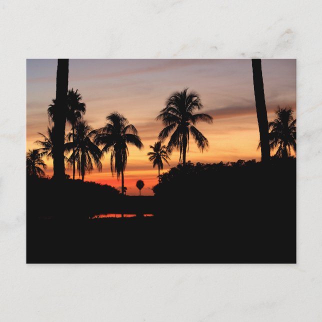 Postal Estrella de Florida (Anverso)