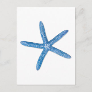 Postal Estrella de mar azul