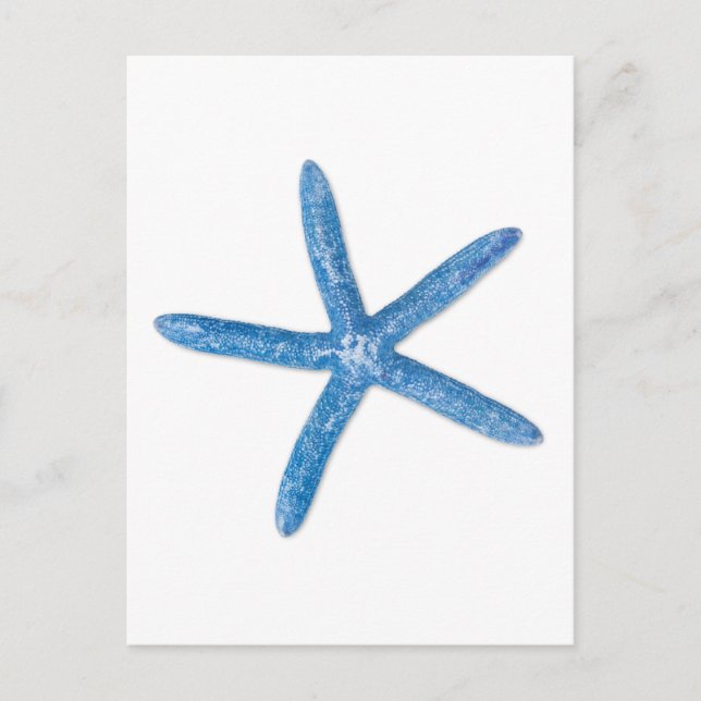 Postal Estrella de mar azul (Anverso)