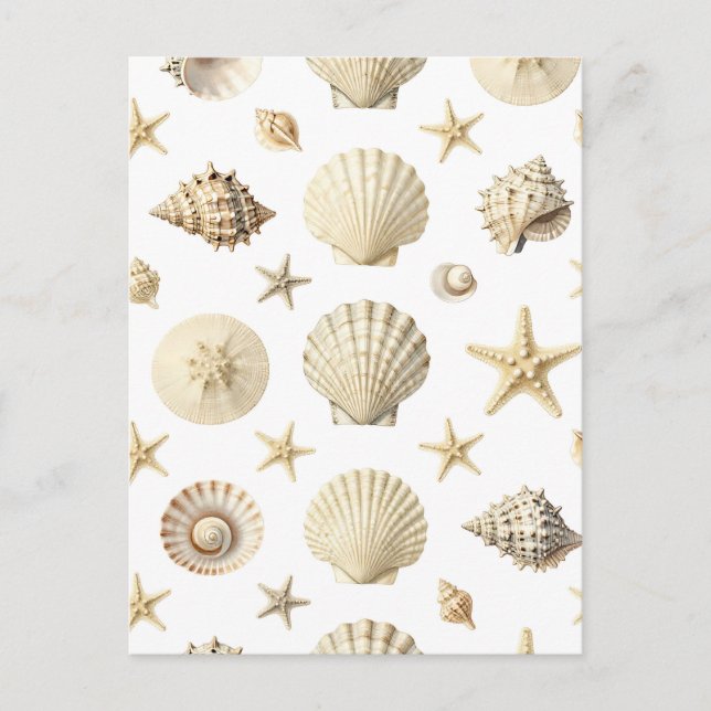 Postal Estrella de mar de conchas marinas patrón continuo (Anverso)