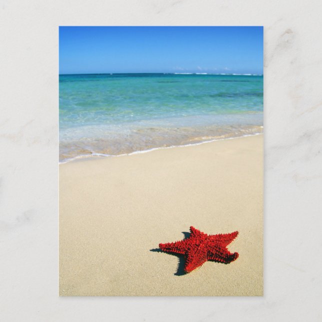 Postal Estrella de Mar Roja en Playa de Arena Blanca (Anverso)