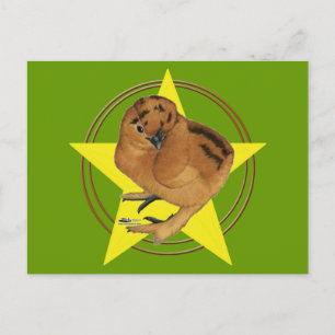 Postal Estrella de pollo rojo Silkie