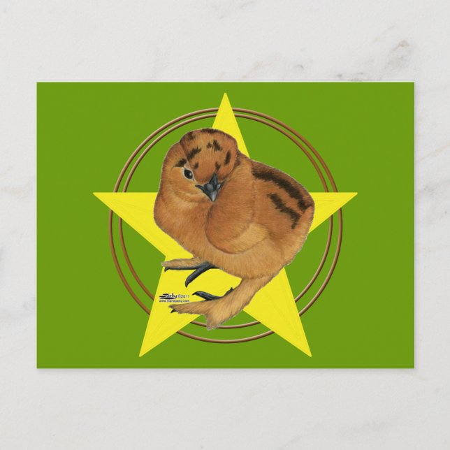 Postal Estrella de pollo rojo Silkie (Anverso)