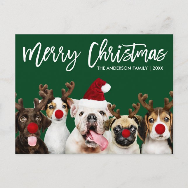 Postal Estrella del guión del pincel Feliz Navidad Perros (Anverso)