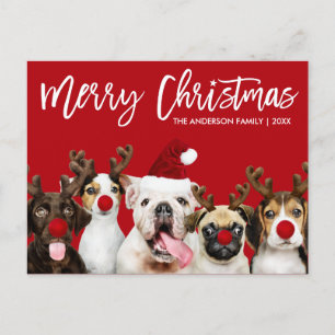 Postal Estrella del guión del pincel Feliz Navidad Perros