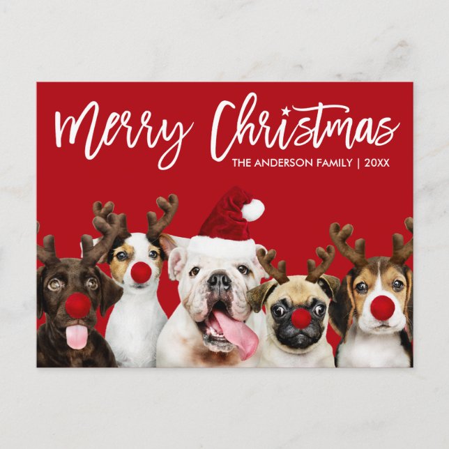 Postal Estrella del guión del pincel Feliz Navidad Perros (Anverso)