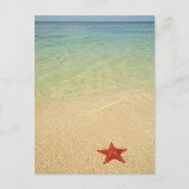 Postal Estrella del Mar de la Cushia Roja | Trinidad, Cub (Anverso)