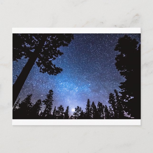 Postal Estrella forestal contemplando un deslumbramiento  (Anverso)