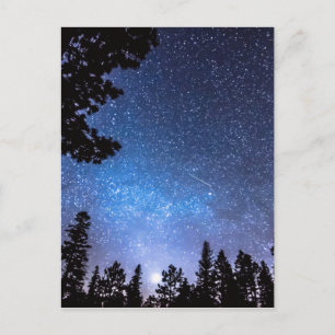 Postal Estrella forestal contemplando un deslumbramiento