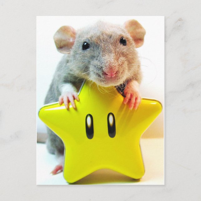 Postal Estrella Optimus (Anverso)