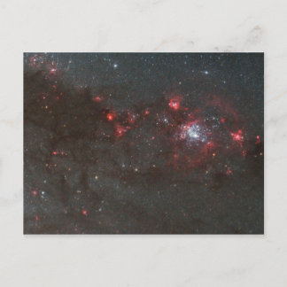 Postal Estrellas calientes jóvenes en un brazo espiral de