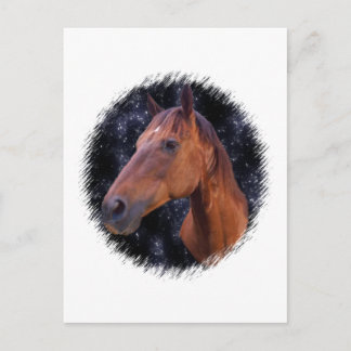 Postal Estrellas de caballos