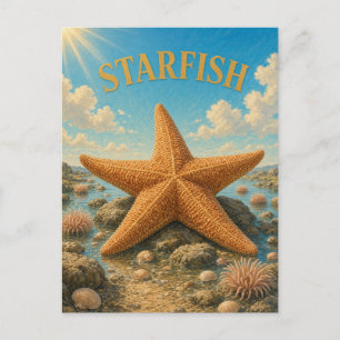 Postal Estrellas de mar Charcos Costeros de Marea GeoSaga