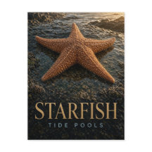 Estrellas de mar Charcos de marea Vida silvestre A