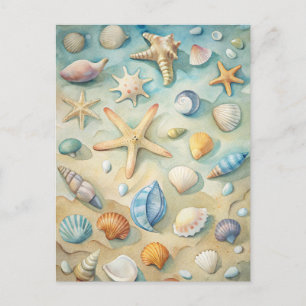 Postal Estrellas de mar conchas de mar Arte náutico de la