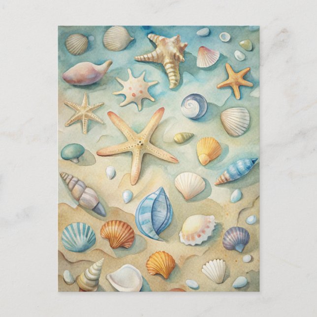 Postal Estrellas de mar conchas de mar Arte náutico de la (Anverso)